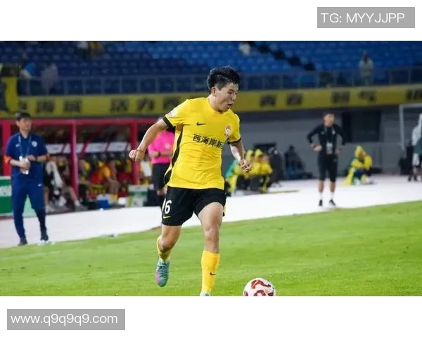 金姓足球明星的辉煌历程与成就探秘他们如何在绿茵场上书写传奇